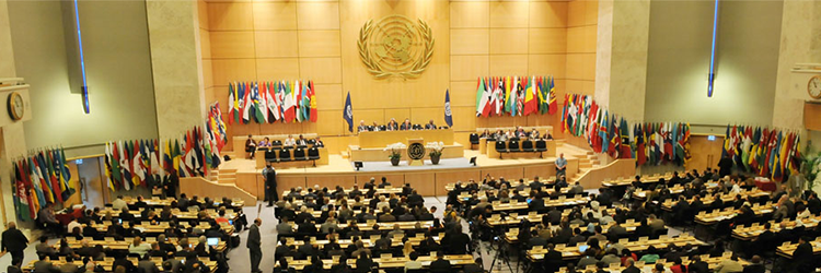 Foto do encontro da ONU